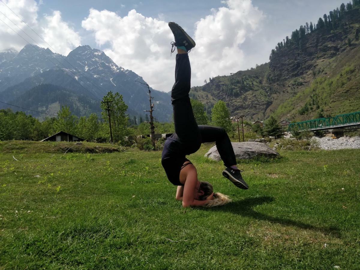 Madpackers Manali Hostel Luaran gambar