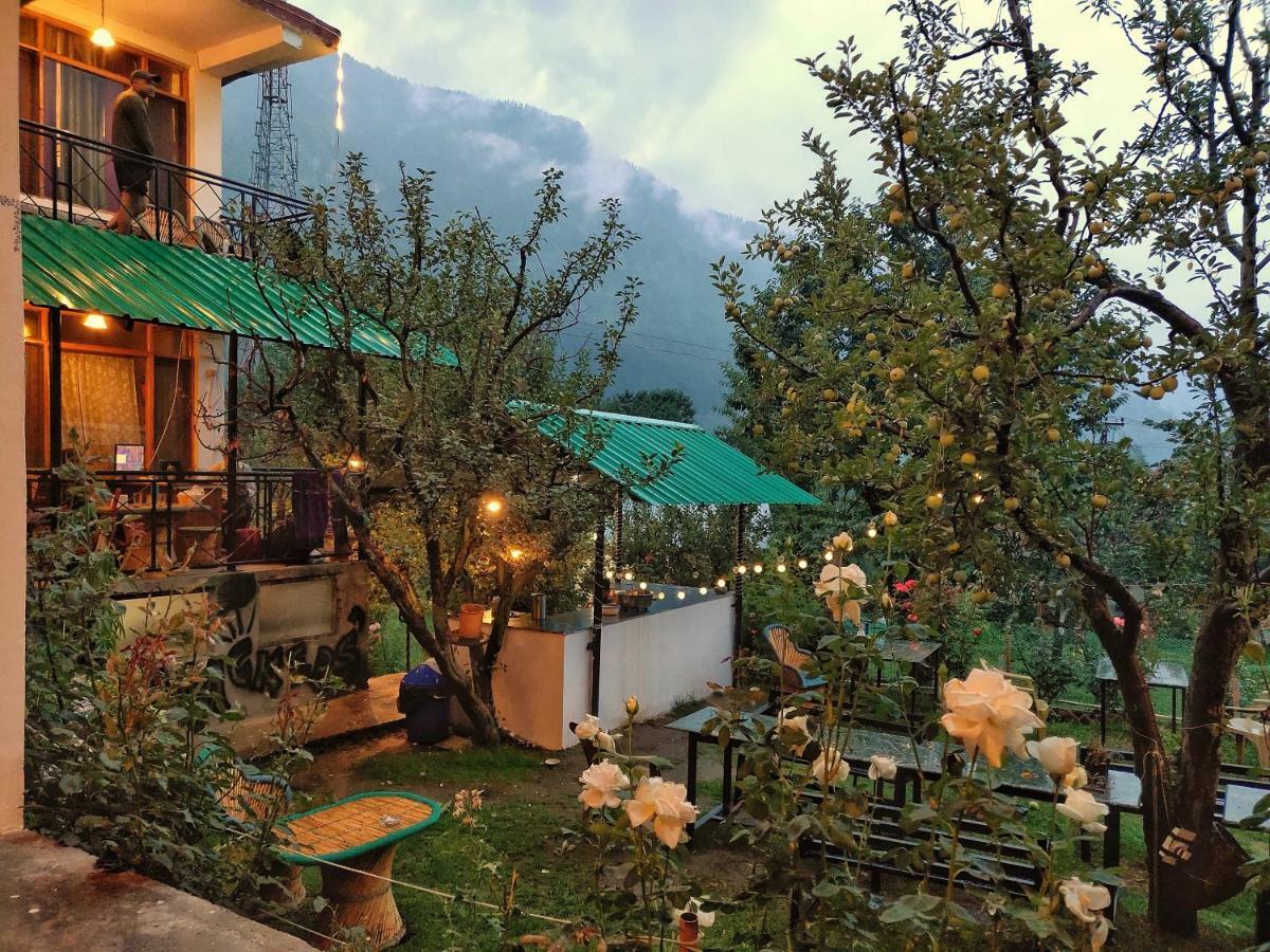 Madpackers Manali Hostel Luaran gambar